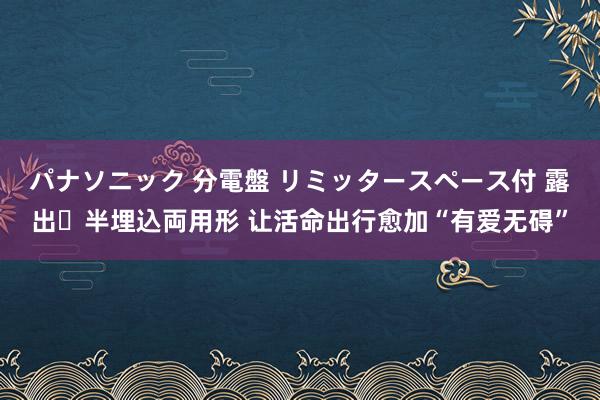 パナソニック 分電盤 リミッタースペース付 露出・半埋込両用形 让活命出行愈加“有爱无碍”