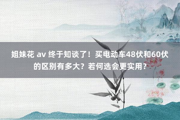 姐妹花 av 终于知谈了！买电动车48伏和60伏的区别有多大？若何选会更实用？