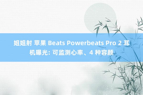 姐姐射 苹果 Beats Powerbeats Pro 2 耳机曝光: 可监测心率、4 种容颜