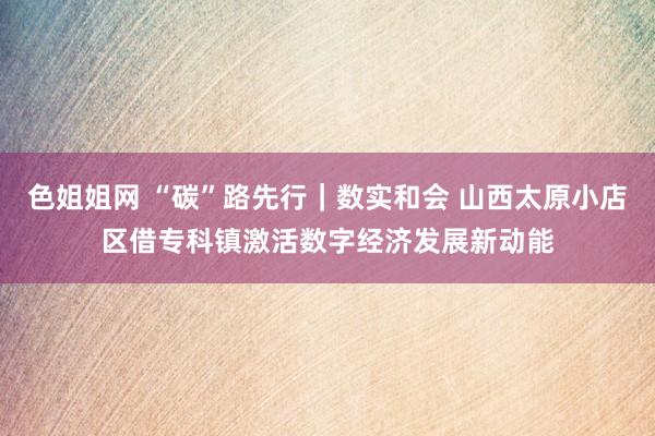 色姐姐网 “碳”路先行｜数实和会 山西太原小店区借专科镇激活数字经济发展新动能