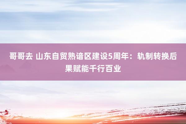 哥哥去 山东自贸熟谙区建设5周年：轨制转换后果赋能千行百业