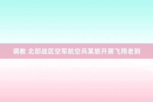 调教 北部战区空军航空兵某旅开展飞翔老到