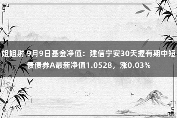 姐姐射 9月9日基金净值：建信宁安30天握有期中短债债券A最新净值1.0528，涨0.03%