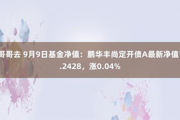 哥哥去 9月9日基金净值：鹏华丰尚定开债A最新净值1.2428，涨0.04%