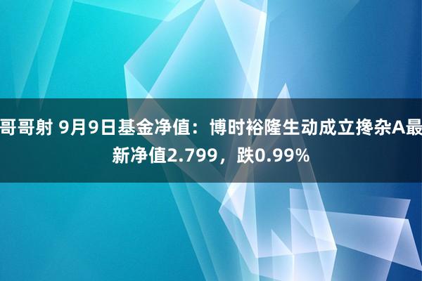 哥哥射 9月9日基金净值：博时裕隆生动成立搀杂A最新净值2.799，跌0.99%