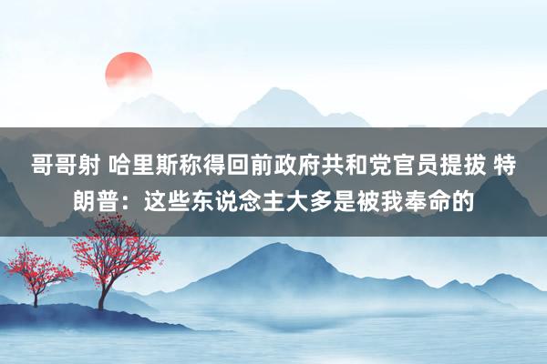 哥哥射 哈里斯称得回前政府共和党官员提拔 特朗普：这些东说念主大多是被我奉命的