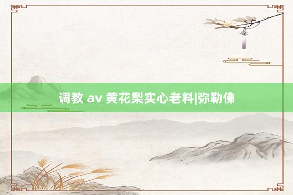 调教 av 黄花梨实心老料|弥勒佛