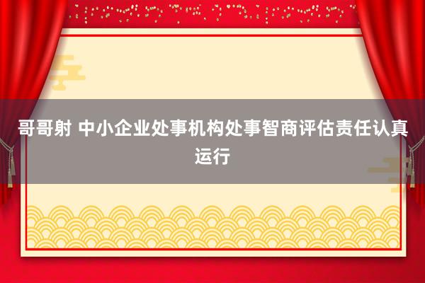 哥哥射 中小企业处事机构处事智商评估责任认真运行