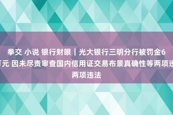 拳交 小说 银行财眼｜光大银行三明分行被罚金60万元 因未尽责审查国内信用证交易布景真确性等两项违法