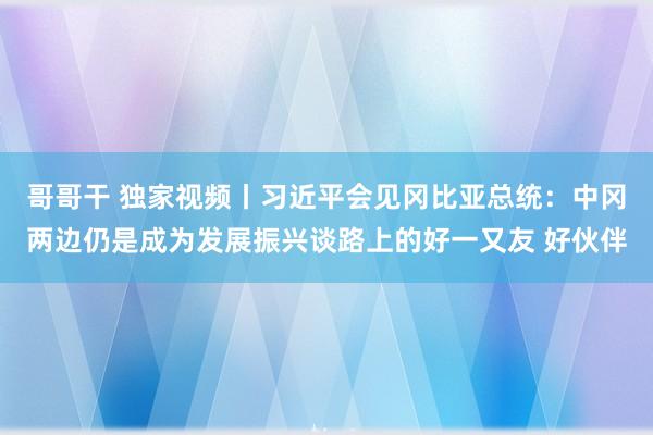 哥哥干 独家视频丨习近平会见冈比亚总统：中冈两边仍是成为发展振兴谈路上的好一又友 好伙伴