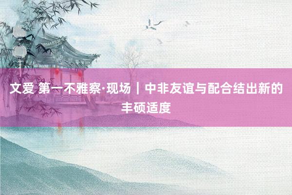 文爱 第一不雅察·现场｜中非友谊与配合结出新的丰硕适度