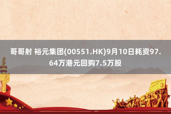 哥哥射 裕元集团(00551.HK)9月10日耗资97.64万港元回购7.5万股