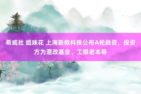 希威社 姐妹花 上海新微科技公布A轮融资，投资方为混改基金、工银老本等