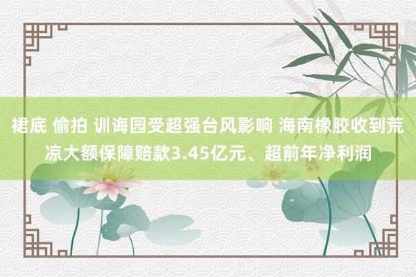 裙底 偷拍 训诲园受超强台风影响 海南橡胶收到荒凉大额保障赔款3.45亿元、超前年净利润