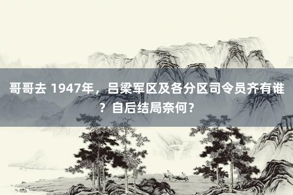 哥哥去 1947年，吕梁军区及各分区司令员齐有谁？自后结局奈何？