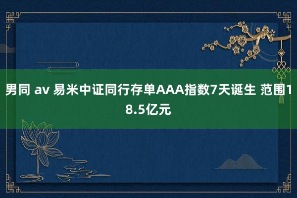 男同 av 易米中证同行存单AAA指数7天诞生 范围18.5亿元