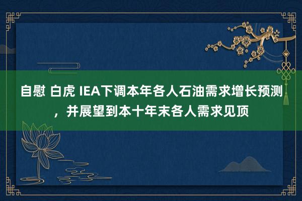 自慰 白虎 IEA下调本年各人石油需求增长预测，并展望到本十年末各人需求见顶