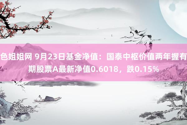 色姐姐网 9月23日基金净值：国泰中枢价值两年握有期股票A最新净值0.6018，跌0.15%