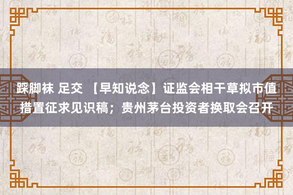 踩脚袜 足交 【早知说念】证监会相干草拟市值措置征求见识稿；贵州茅台投资者换取会召开