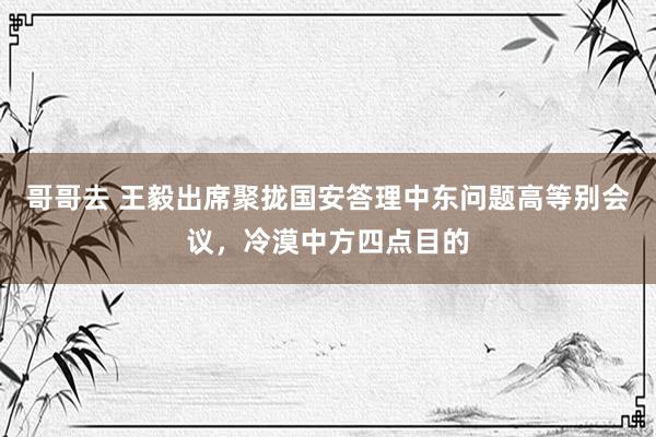 哥哥去 王毅出席聚拢国安答理中东问题高等别会议，冷漠中方四点目的