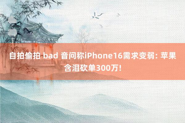 自拍偷拍 bad 音问称iPhone16需求变弱: 苹果含泪砍单300万!