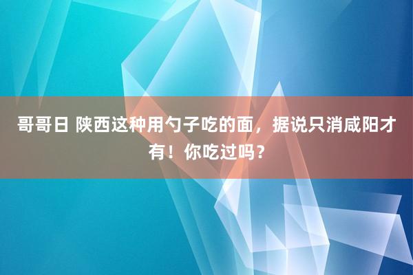 哥哥日 陕西这种用勺子吃的面，据说只消咸阳才有！你吃过吗？