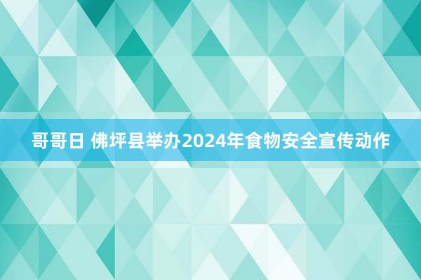 哥哥日 佛坪县举办2024年食物安全宣传动作