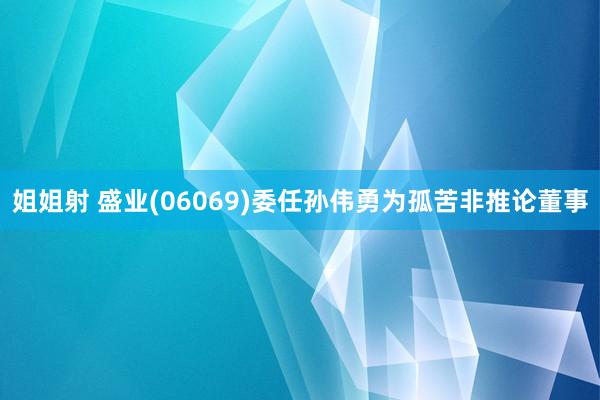 姐姐射 盛业(06069)委任孙伟勇为孤苦非推论董事