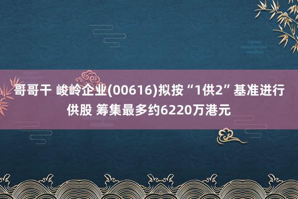 哥哥干 峻岭企业(00616)拟按“1供2”基准进行供股 筹集最多约6220万港元