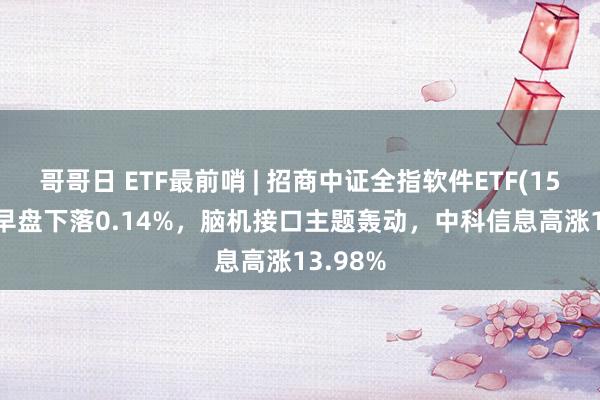 哥哥日 ETF最前哨 | 招商中证全指软件ETF(159899)早盘下落0.14%，脑机接口主题轰动，中科信息高涨13.98%