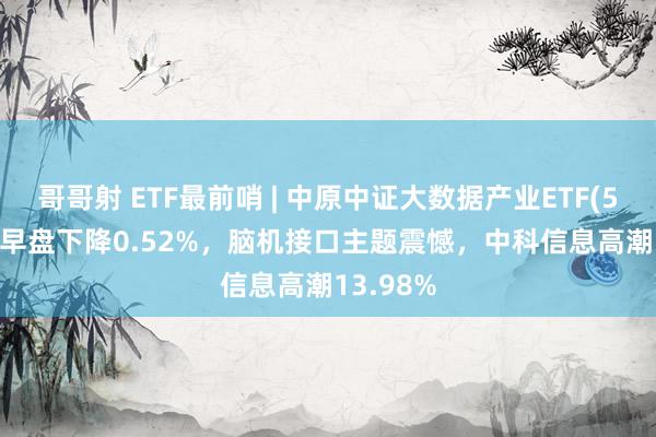 哥哥射 ETF最前哨 | 中原中证大数据产业ETF(516000)早盘下降0.52%，脑机接口主题震憾，中科信息高潮13.98%