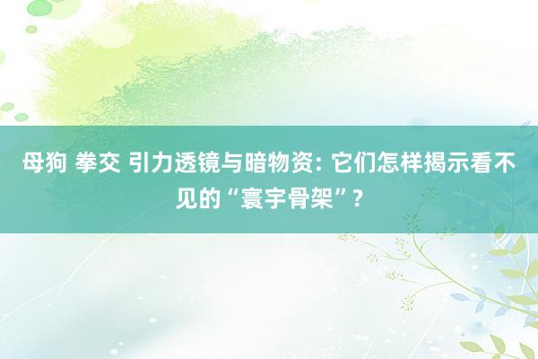 母狗 拳交 引力透镜与暗物资: 它们怎样揭示看不见的“寰宇骨架”?