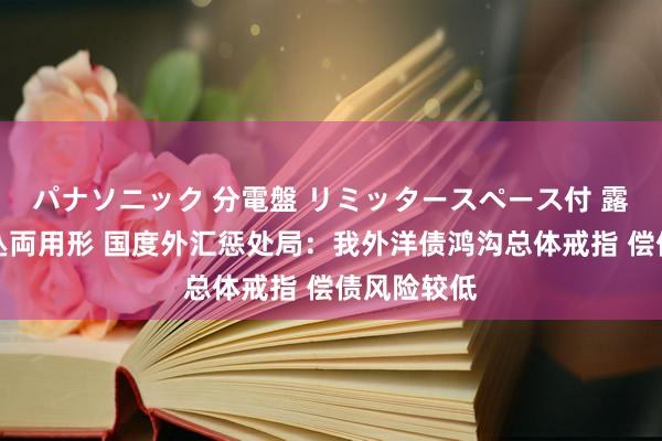 パナソニック 分電盤 リミッタースペース付 露出・半埋込両用形 国度外汇惩处局：我外洋债鸿沟总体戒指 偿债风险较低