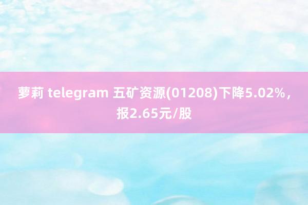 萝莉 telegram 五矿资源(01208)下降5.02%，报2.65元/股