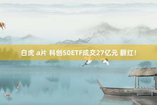 白虎 a片 科创50ETF成交27亿元 翻红！