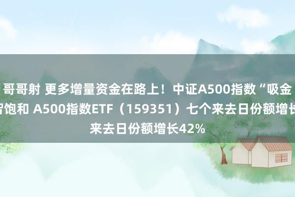 哥哥射 更多增量资金在路上！中证A500指数“吸金”才智饱和 A500指数ETF（159351）七个来去日份额增长42%