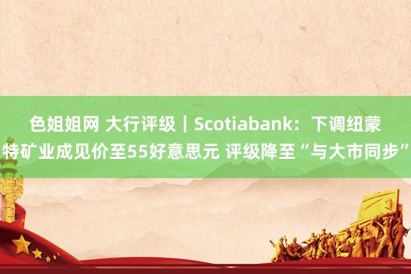 色姐姐网 大行评级｜Scotiabank：下调纽蒙特矿业成见价至55好意思元 评级降至“与大市同步”