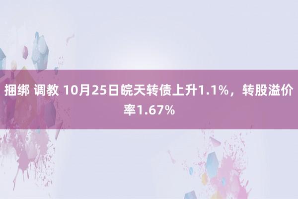 捆绑 调教 10月25日皖天转债上升1.1%，转股溢价率1.67%