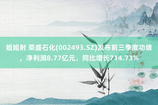 姐姐射 荣盛石化(002493.SZ)发布前三季度功绩，净利润8.77亿元，同比增长714.73%