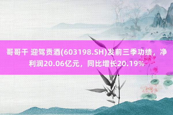 哥哥干 迎驾贡酒(603198.SH)发前三季功绩，净利润20.06亿元，同比增长20.19%