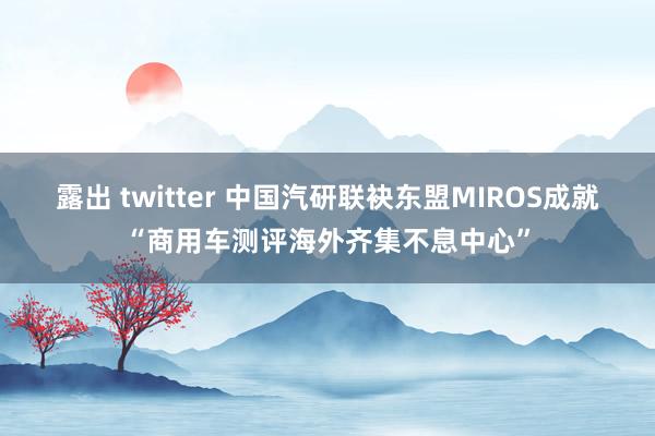 露出 twitter 中国汽研联袂东盟MIROS成就“商用车测评海外齐集不息中心”