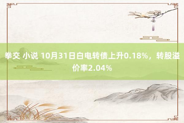 拳交 小说 10月31日白电转债上升0.18%，转股溢价率2.04%