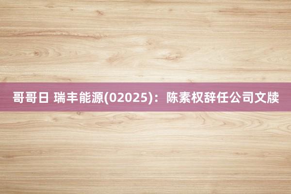 哥哥日 瑞丰能源(02025)：陈素权辞任公司文牍