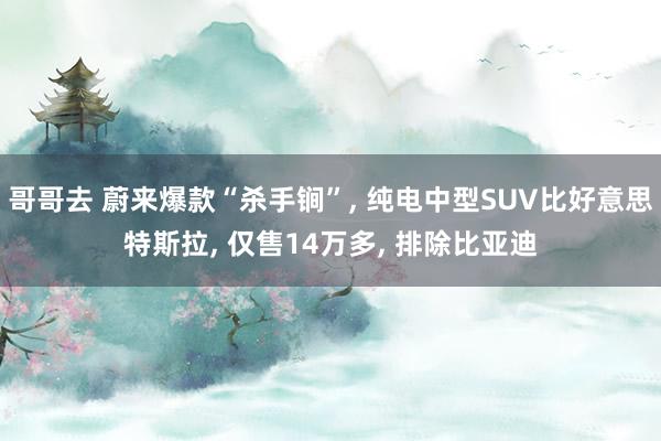 哥哥去 蔚来爆款“杀手锏”， 纯电中型SUV比好意思特斯拉， 仅售14万多， 排除比亚迪