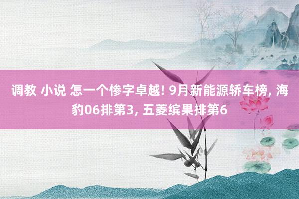 调教 小说 怎一个惨字卓越! 9月新能源轿车榜， 海豹06排第3， 五菱缤果排第6