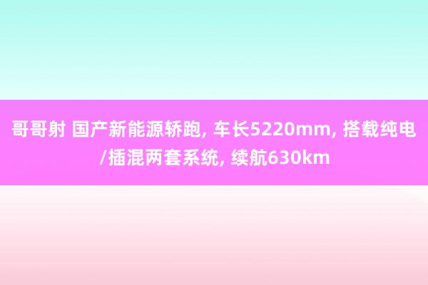 哥哥射 国产新能源轿跑， 车长5220mm， 搭载纯电/插混两套系统， 续航630km