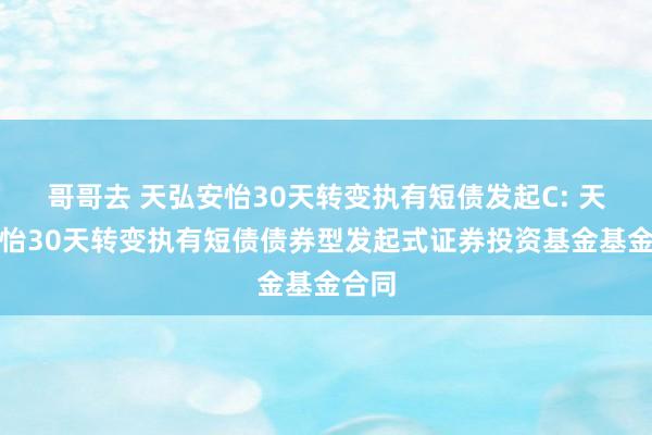 哥哥去 天弘安怡30天转变执有短债发起C: 天弘安怡30天转变执有短债债券型发起式证券投资基金基金合同