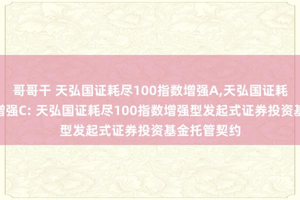 哥哥干 天弘国证耗尽100指数增强A，天弘国证耗尽100指数增强C: 天弘国证耗尽100指数增强型发起式证券投资基金托管契约