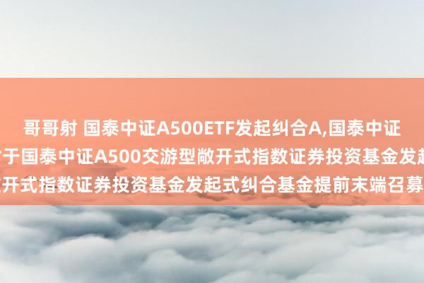 哥哥射 国泰中证A500ETF发起纠合A，国泰中证A500ETF发起纠合C: 对于国泰中证A500交游型敞开式指数证券投资基金发起式纠合基金提前末端召募的公告