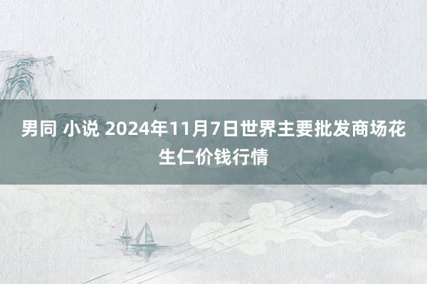 男同 小说 2024年11月7日世界主要批发商场花生仁价钱行情